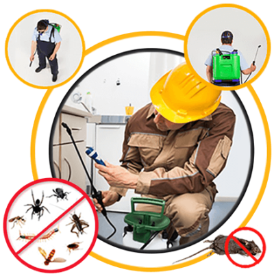 Dedetizadora Shopping de Serviços